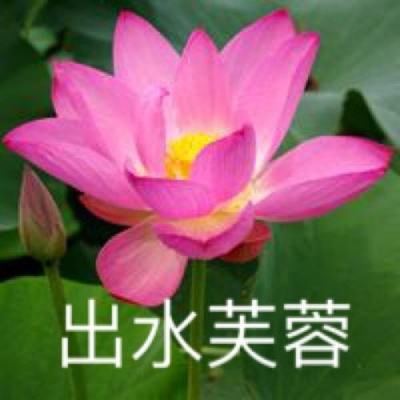 王者皇城手机版下载